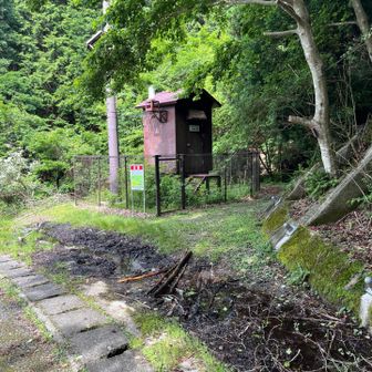 この雨量機器のところから入山。茨谷登山口