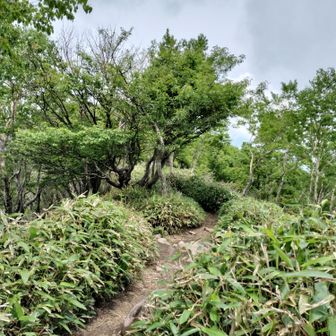 山頂から近い場所なる見晴らしポイントにも寄ってみる🚶‍♀️
お願いします🙏✨️見晴らしを🙏✨️
