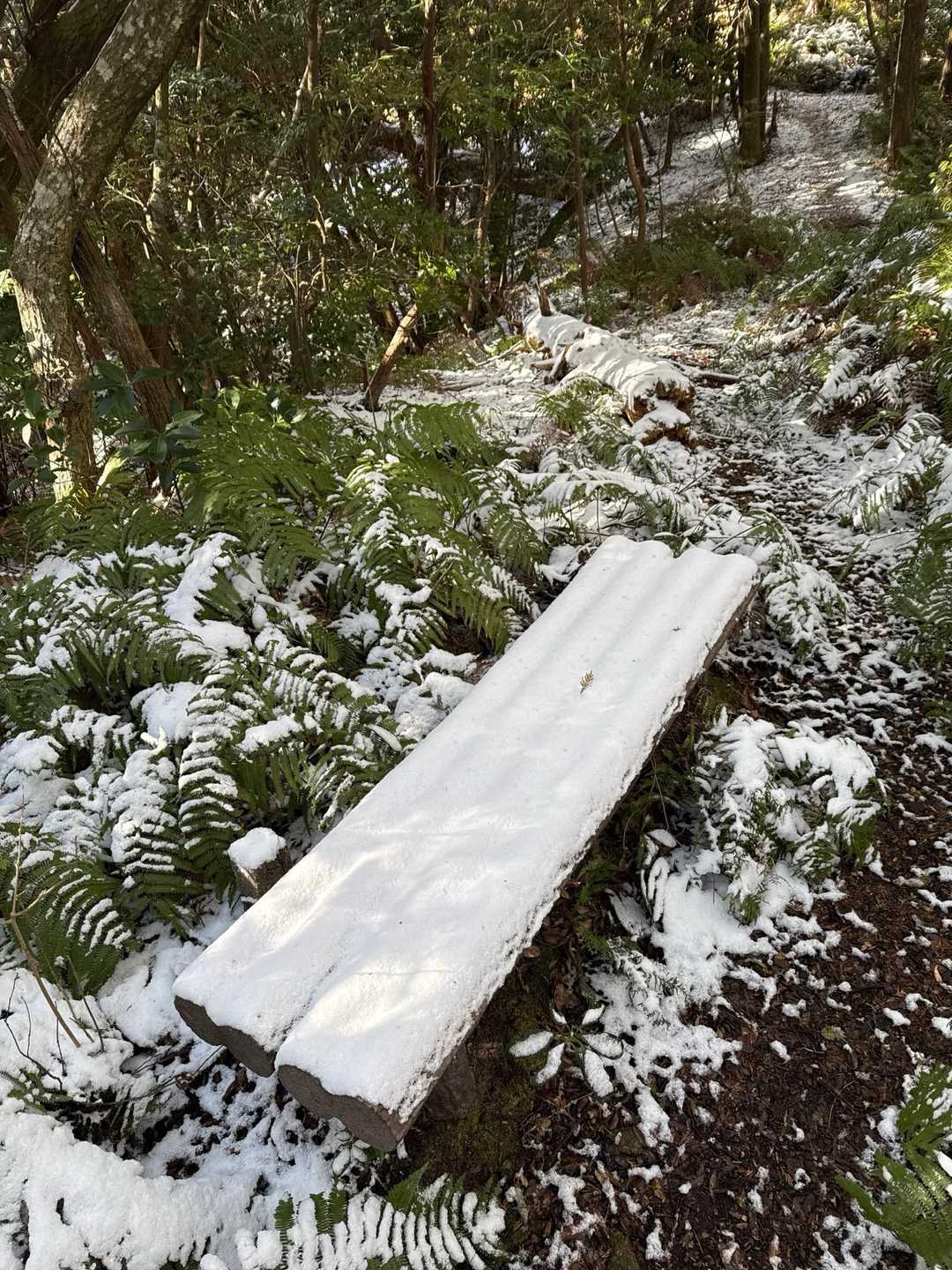 ベンチも全部雪が積もって休憩不可