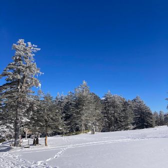 ほっと一息ついたら出発👍