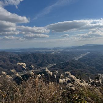 良い展望✨
花火大会や日の出を見るには最高の場所だと聴いてる