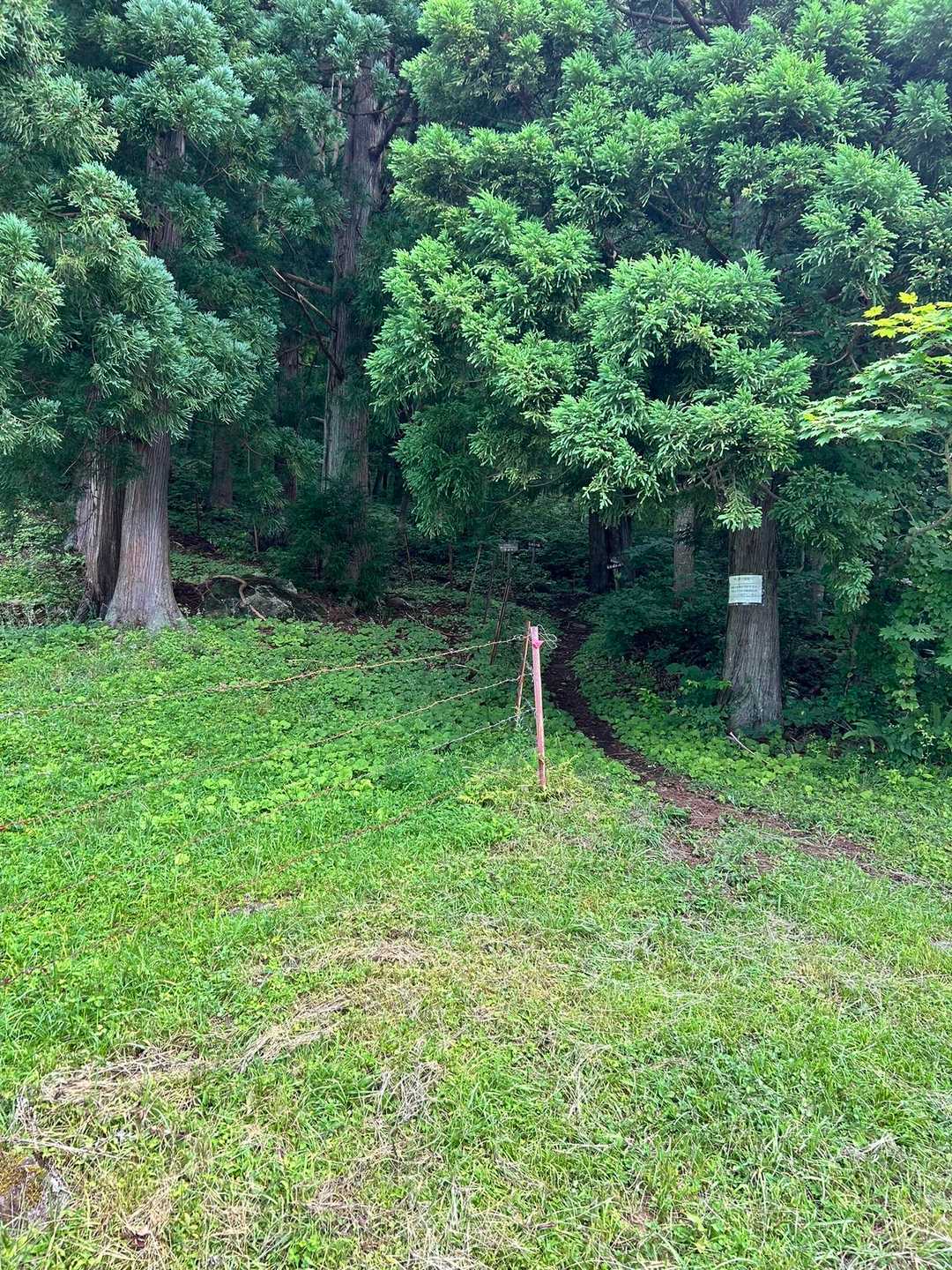 登山口は　こんな感じです。