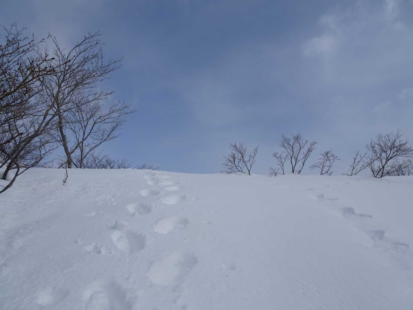 御堂山への最後の登り