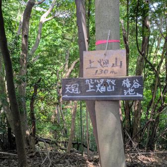一旦 椿谷池まで降りて登り返すと上畑山とーちゃく
寛ぐ間もなく前進
