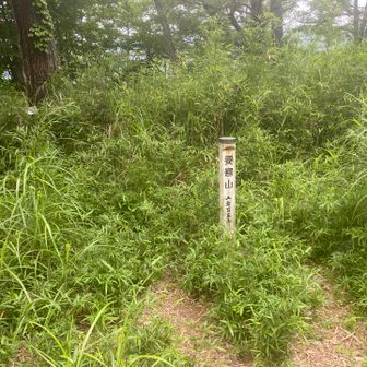要害山は山百でした⛰️