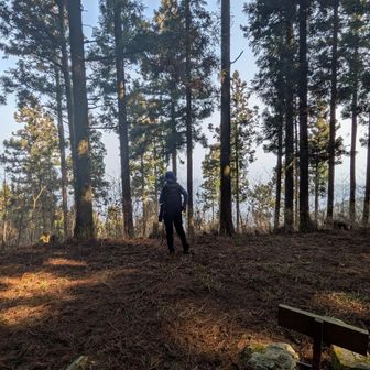 障子山の山頂　景色は少ない。