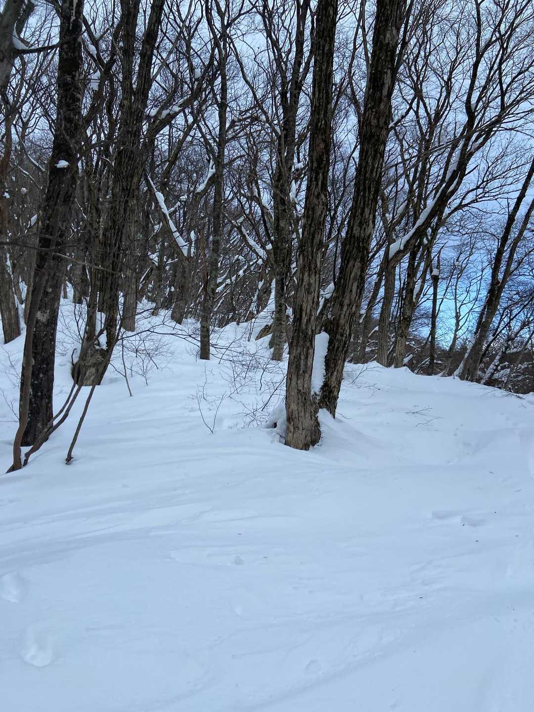 ところどころ風でトレースが消えてる💦