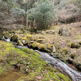 川の流れの音は心地良く癒されます💗