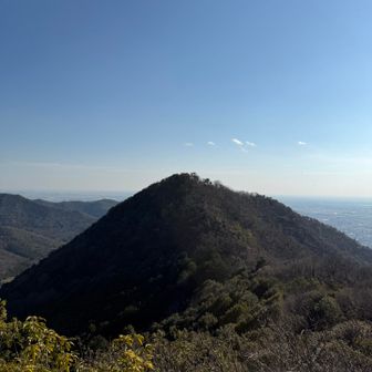 大坊山⛰️へ戻ります
