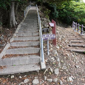 山頂と灯台の分岐。