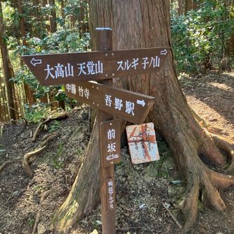 前坂に到着。