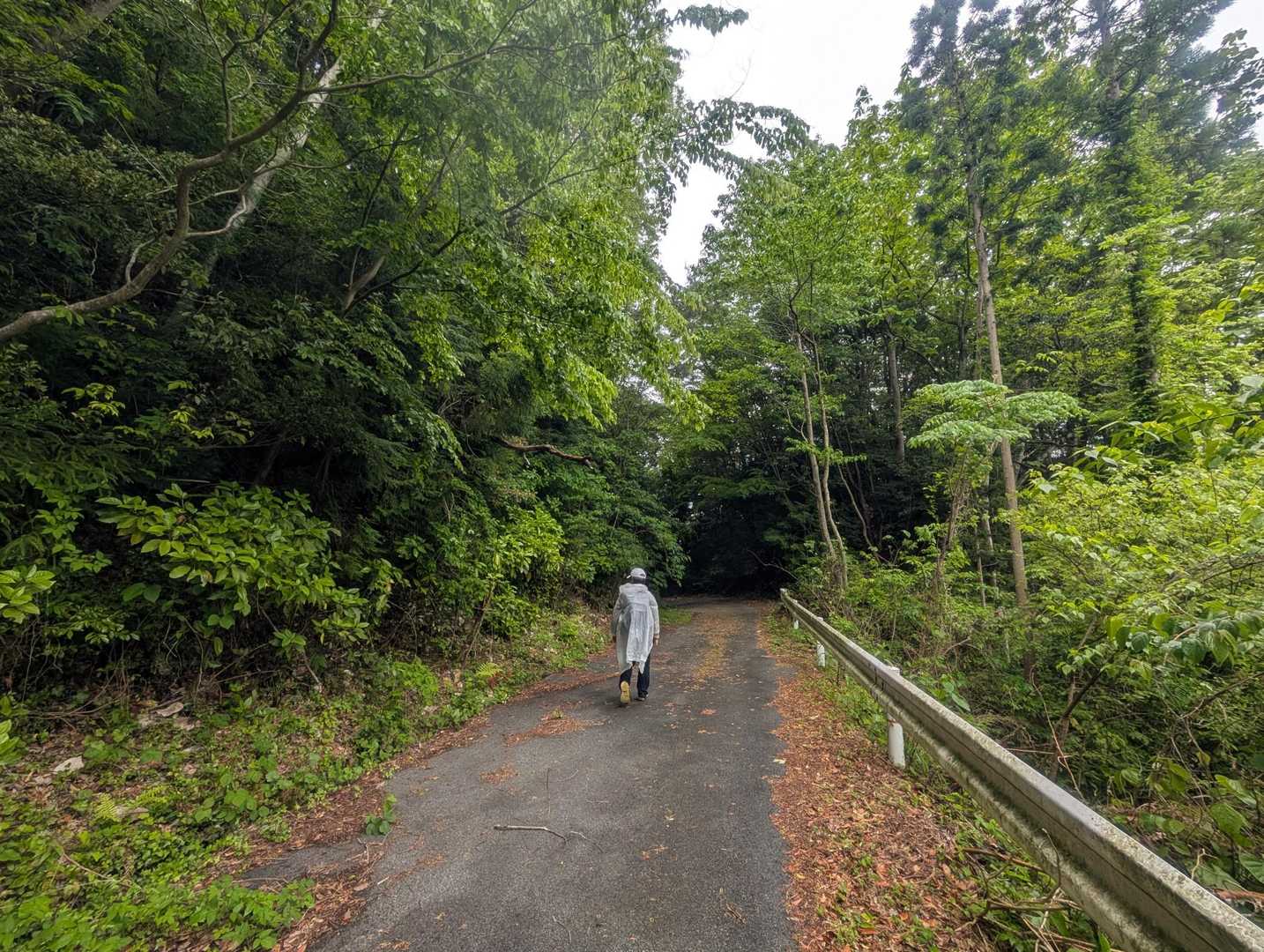 千石林道 から ゴールへ。
