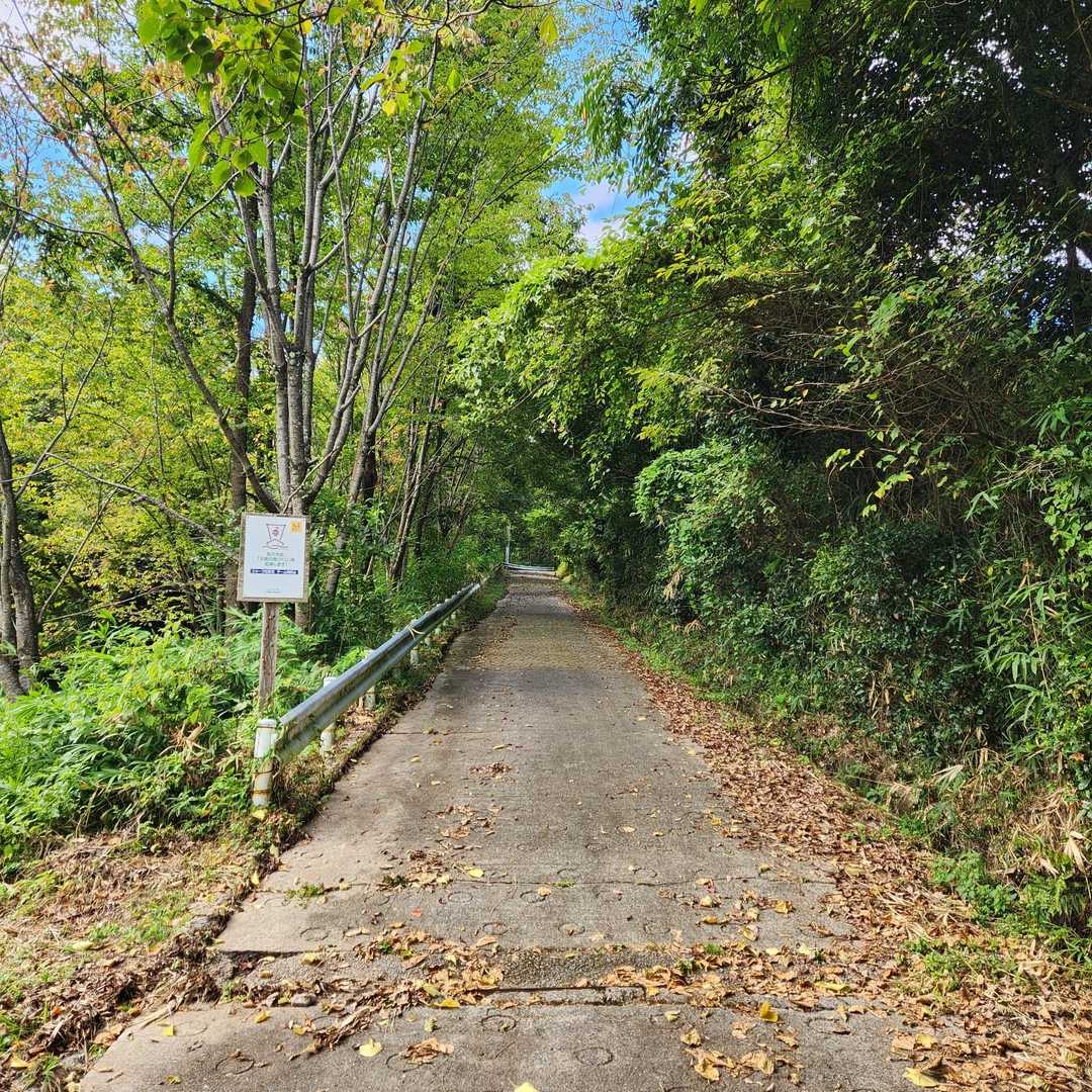 小虫が多く小走りで通過😵
