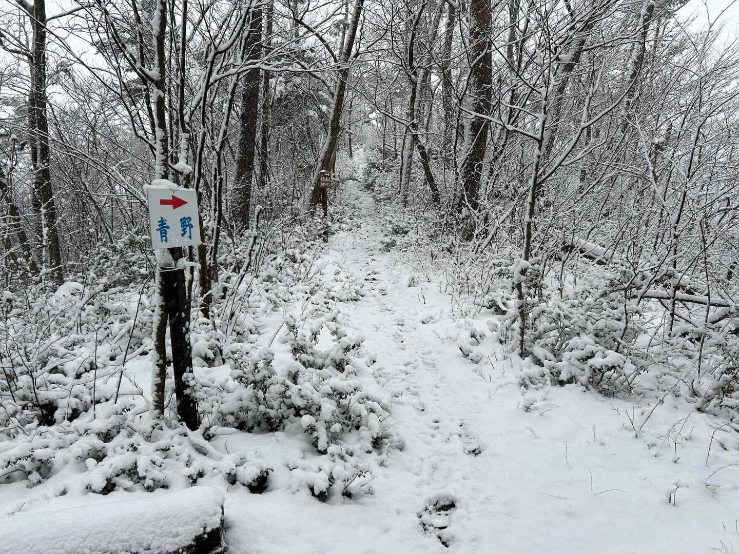 青野分岐