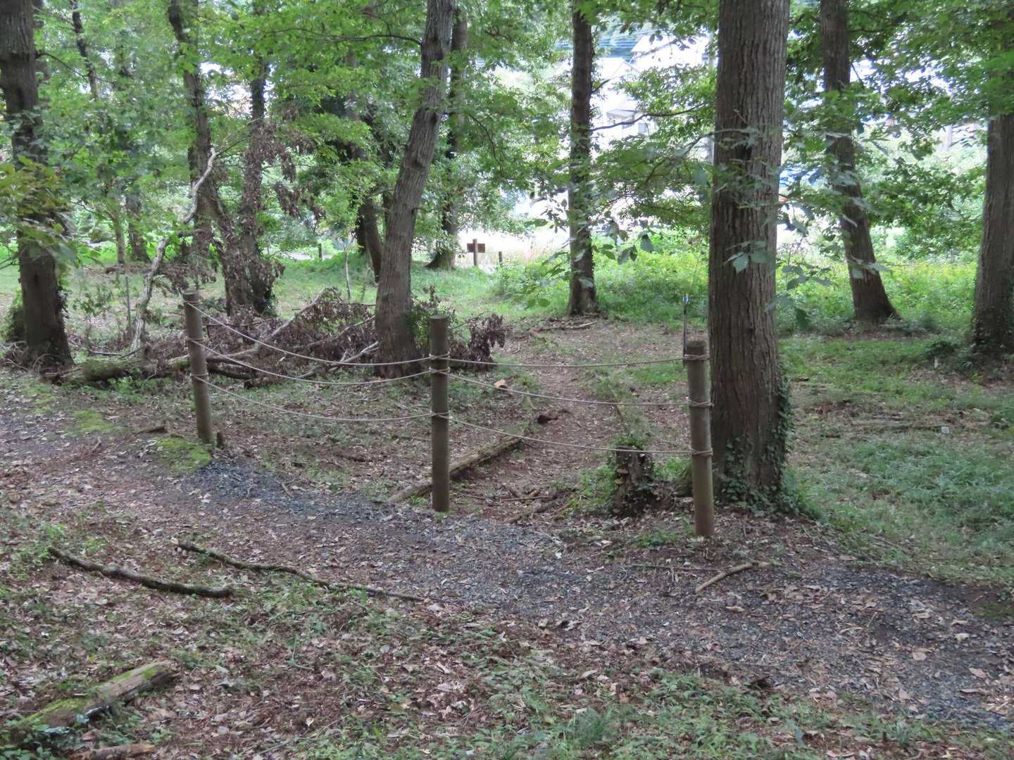 ここにも通行止めのロープがあります。
写真中央に小さく写っているのが＜写真A＞に写っている道標です。
環境整備のための植栽が登山者が入り込んだことで痛んだことがありこの道は利用禁止になりました。