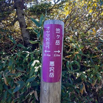 予定より前倒ししていたので、悪沢岳に寄り道。