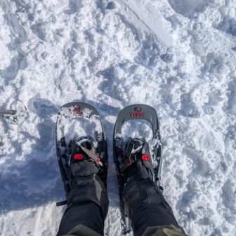 スノーシュー
借り物💦