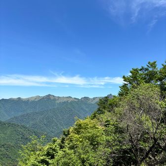 丸笹山より石鎚山方面