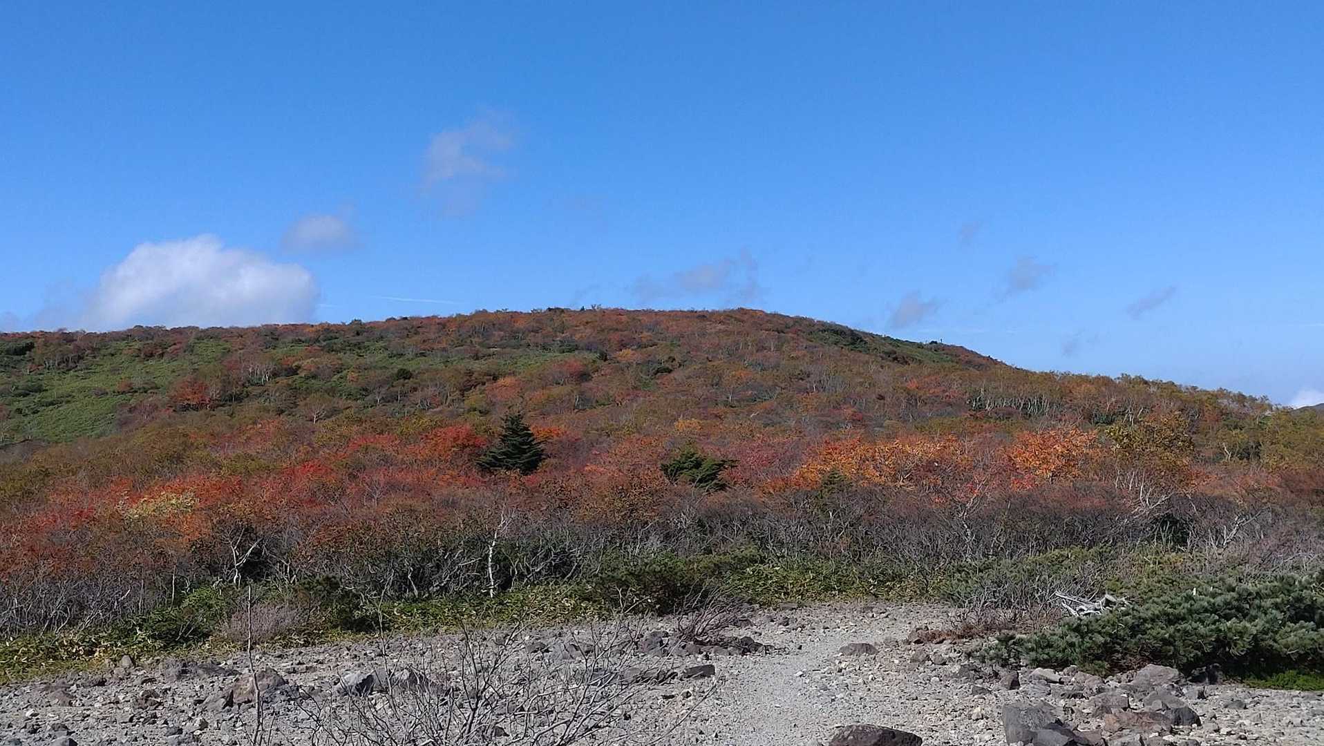沼ッ原湿原登山口-白笹山-南月山-日の出平-姥ヶ平-日の出 縦走コースの写真