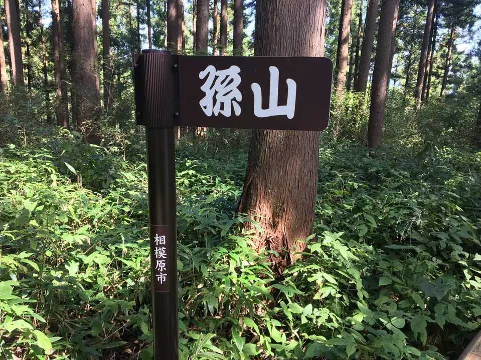 孫山（子孫山ノ頭）の写真