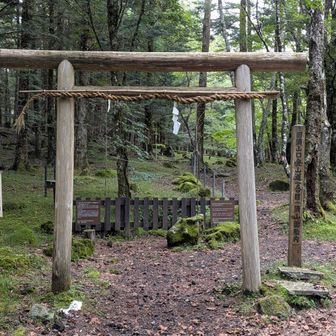 御胎内
須山口一合目とのこと。
当時は登るほうもここを通っていたんでしょうね。