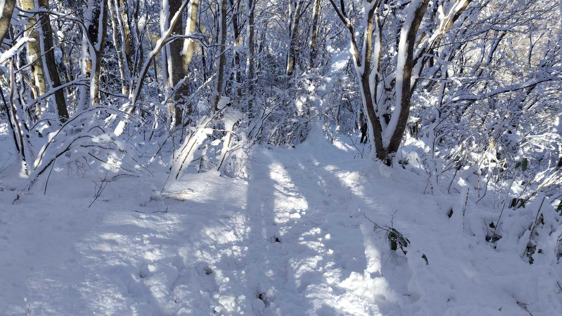 ソリが欲しい
