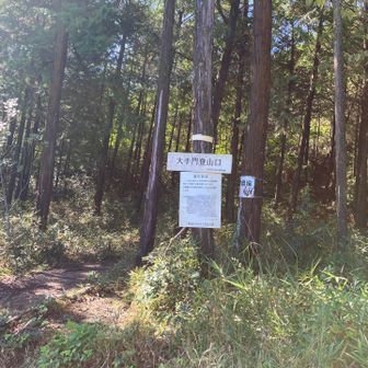 駐車場の真ん前が登山口。スタート🚶