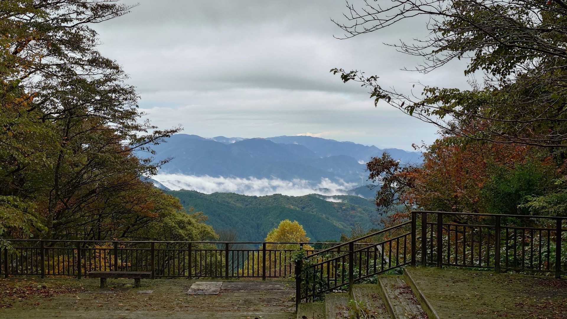 南方面。岩湧山も見えます