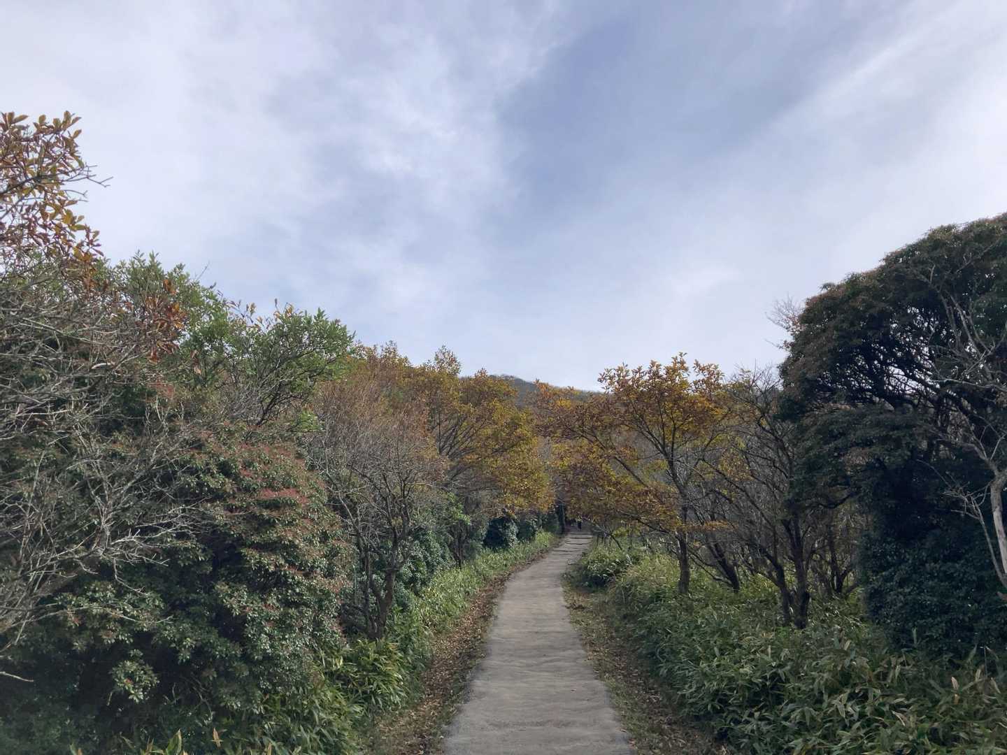 筋肉疲労により途中棄権（記録50M）