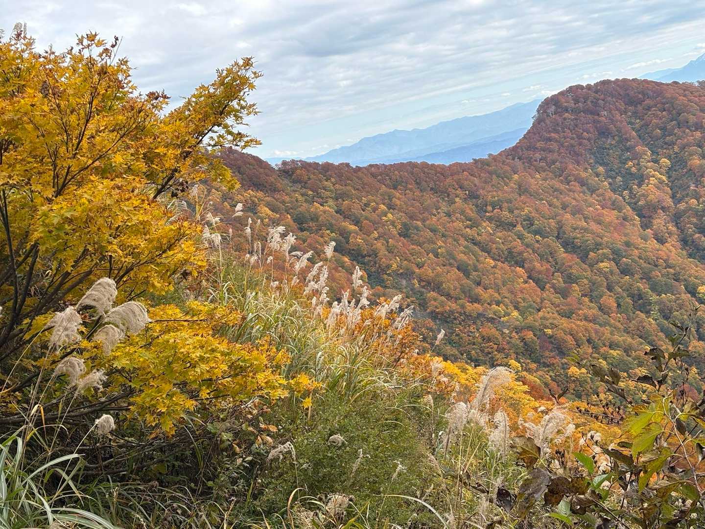 米山（下牧ベース993）＜下牧登山コース＞の写真