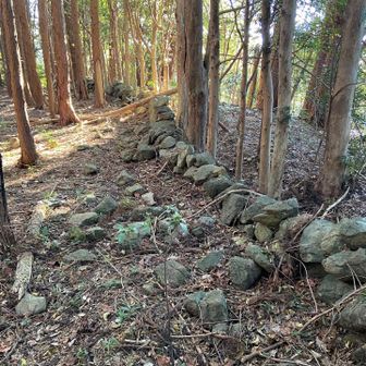 イノシシ避けの石垣が沢山ありました🐗