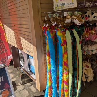 SALEかとおもったら違ったw
富豪しか買えない。。
https://yamap.com/activities/50966517