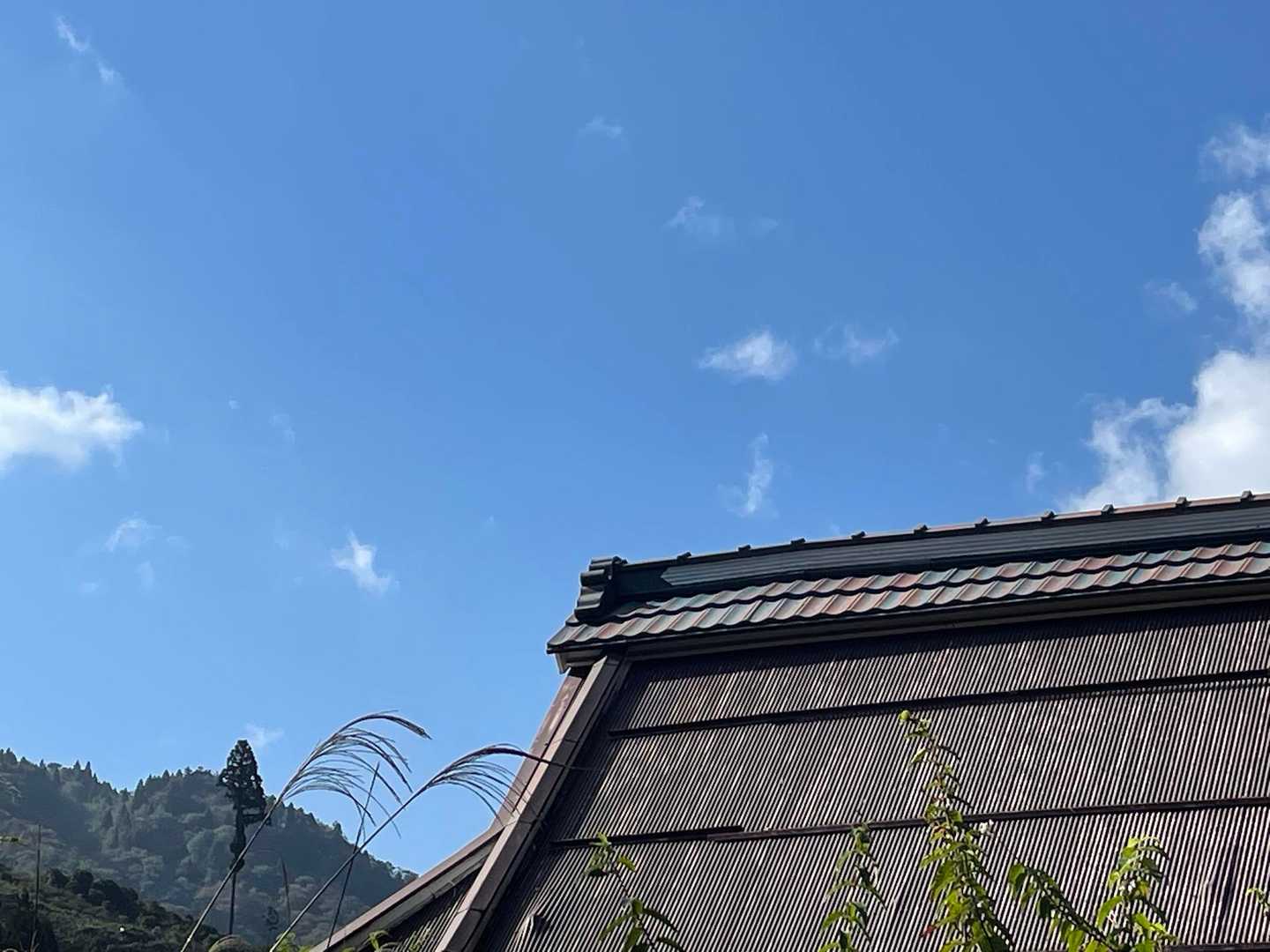変わった作りの屋根の家ばかり
初めて見ました
