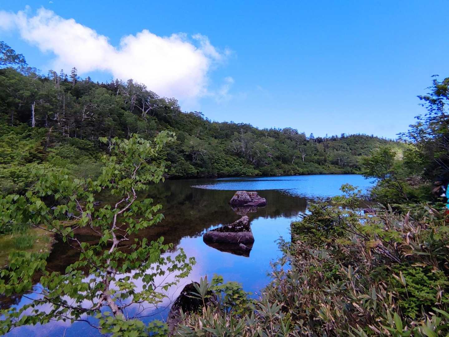 風吹岳（風吹登山口）の写真