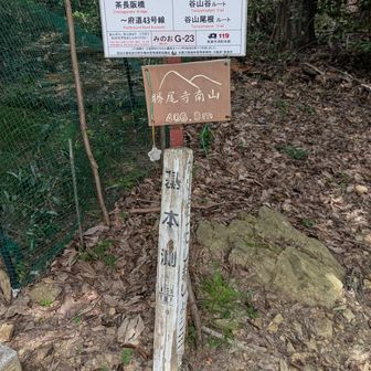 勝尾寺南山に到着。
なかなかの急登でした。