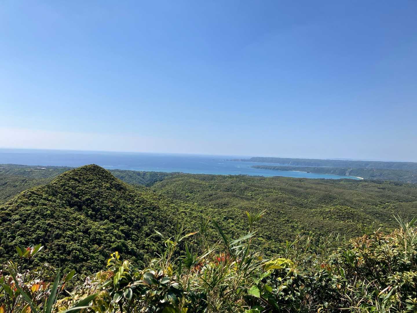 玉辻山 往復コースの写真