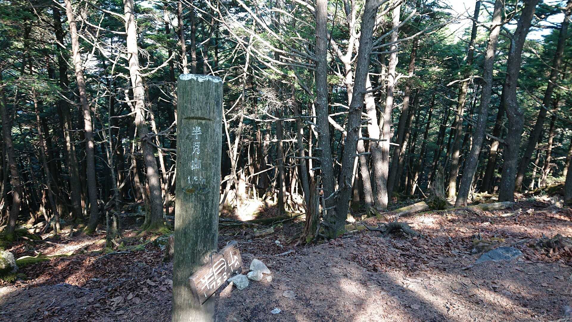 半月山の写真