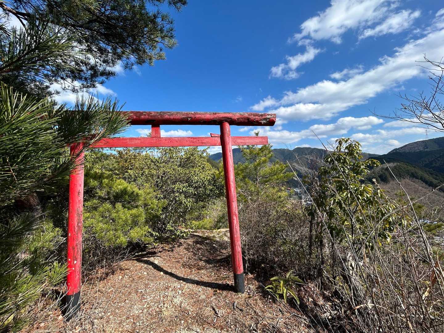 青空と鳥居⛩️
撮るセンスのない私でも
間違えなく写って、よき✨

TOP画