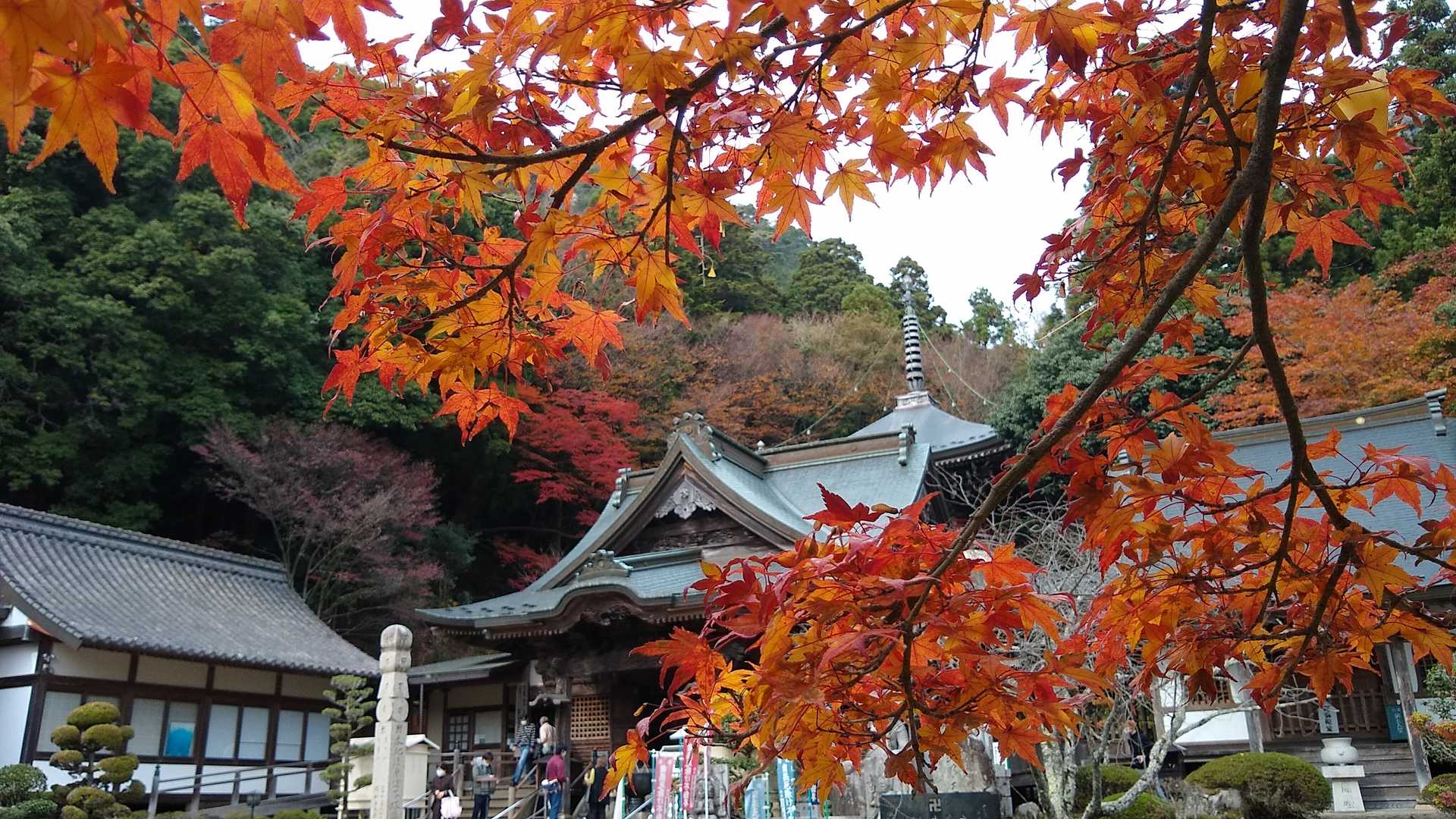 紅葉の大窪寺は風情あるなぁ🍁