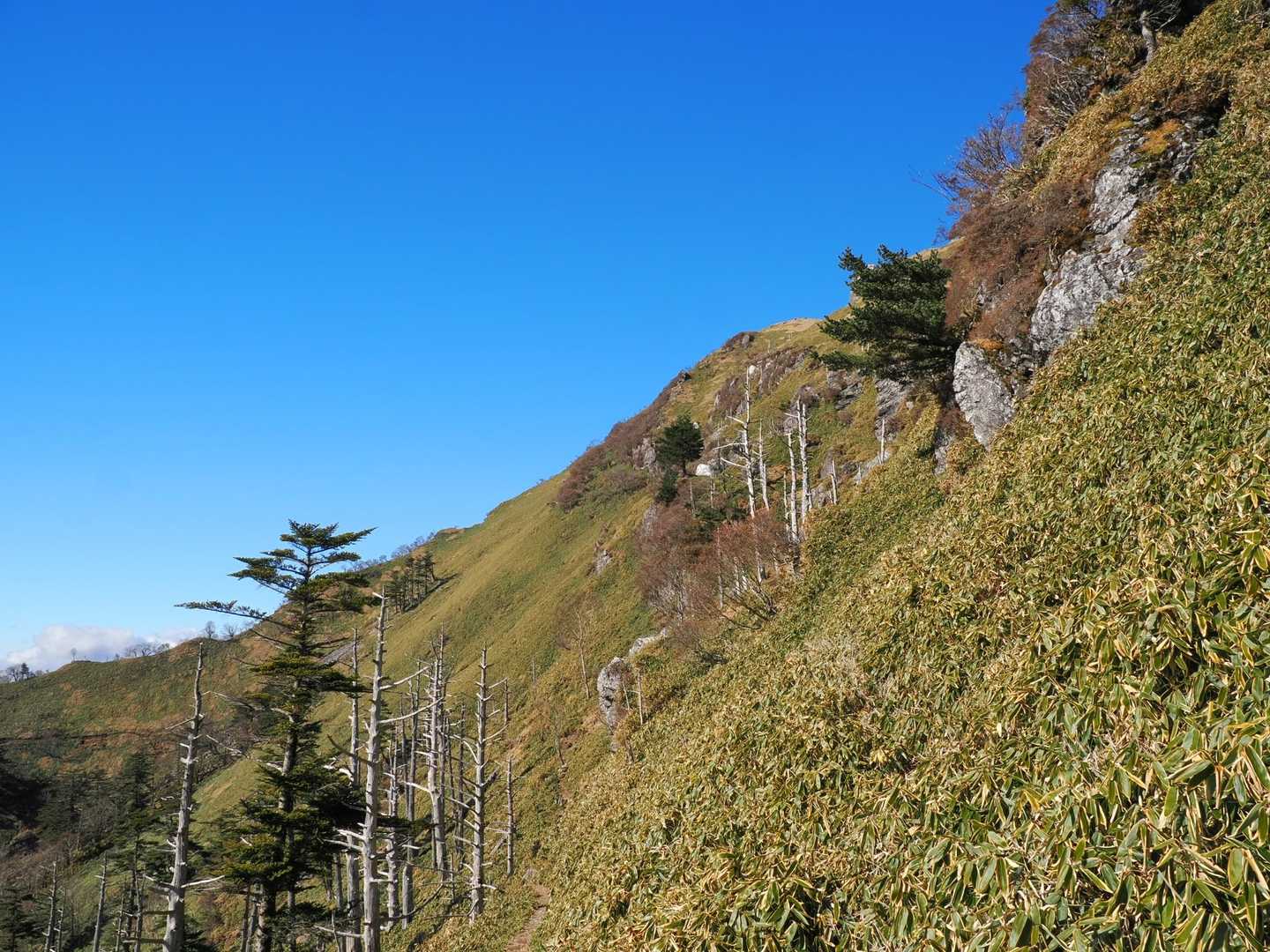 次郎笈 往復コースの写真