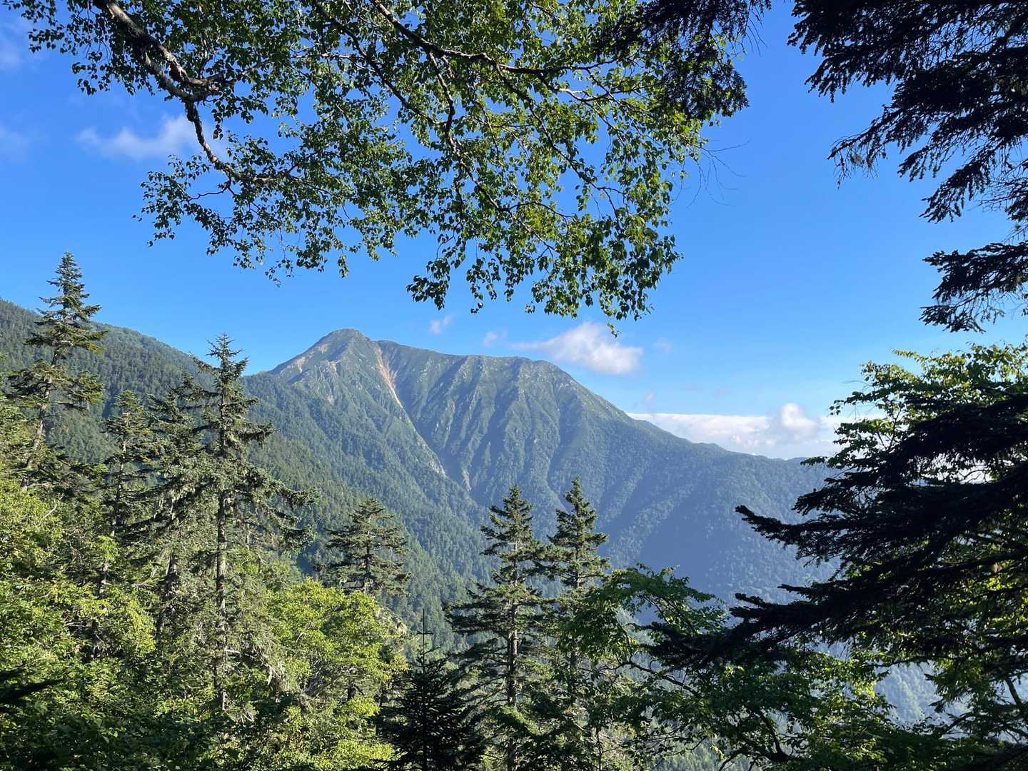 三股登山口-蝶ヶ岳-蝶槍 往復コースの写真