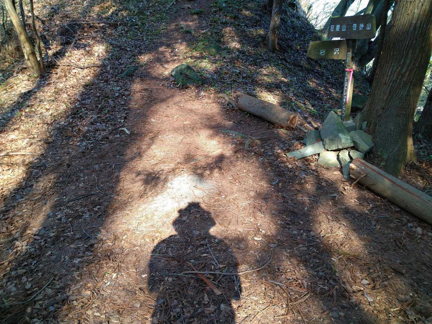 あっという間に#30📸の鞍部へ😄
⬅️ココから下山👣