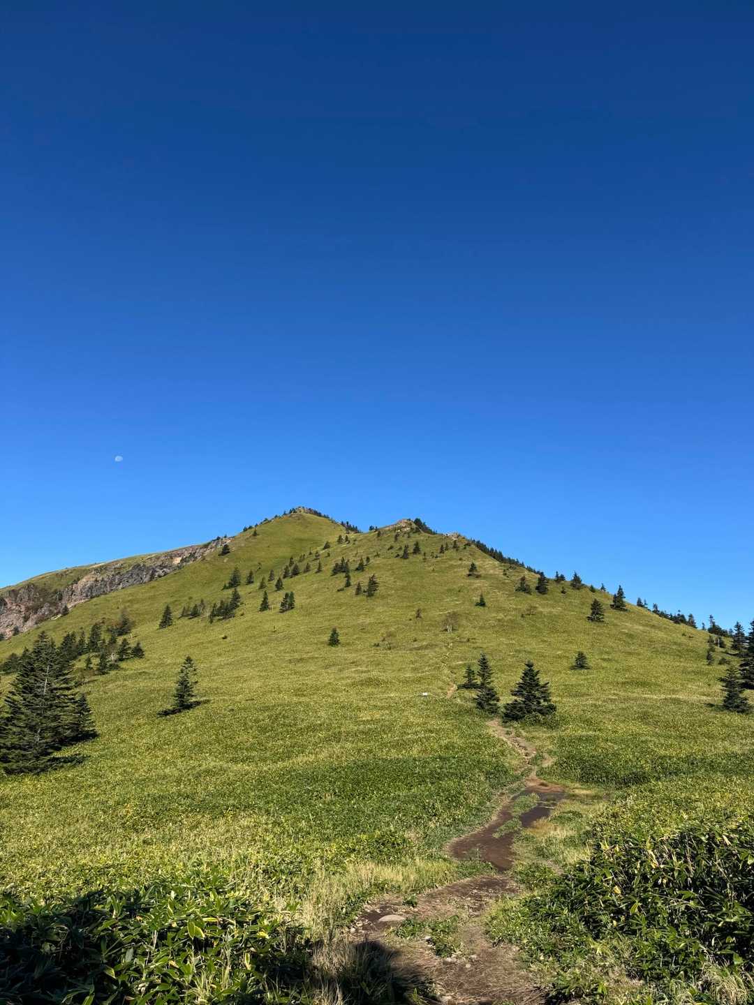 四阿山〜根子岳 / すっぽんの登山データ | YAMAP / ヤマップ