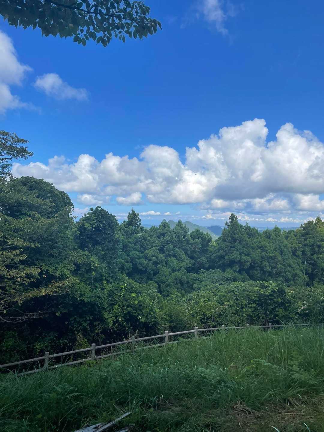 富山が見える