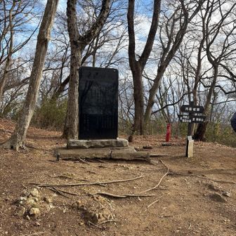 この上が山頂。