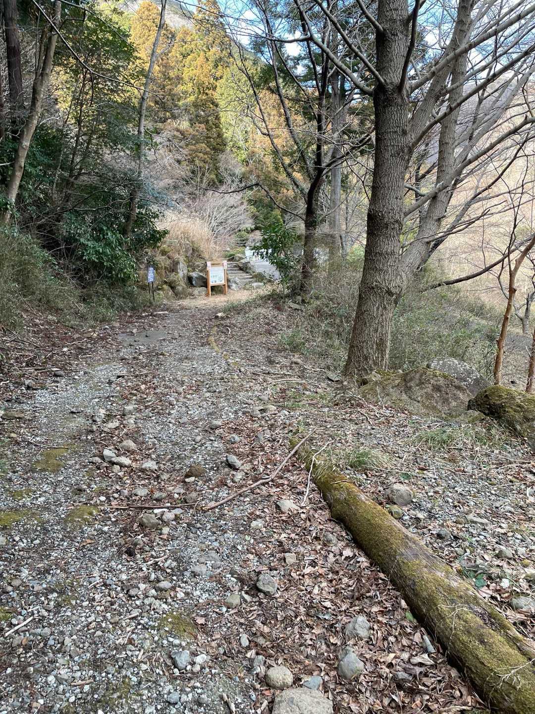あ！分岐点が見えてきました👏