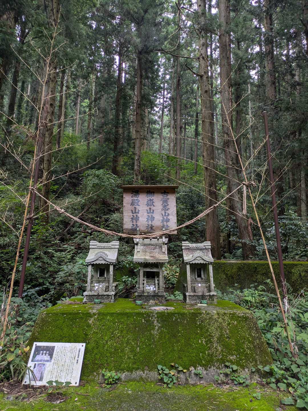 ここも来たかったポイントの一つです。