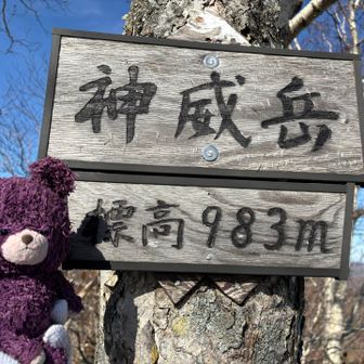 あれ、着いた。どこにラスボスの写真撮る所あった？？そして貸し切りだー
お初の山なので久しぶりのジャッキーちゃん