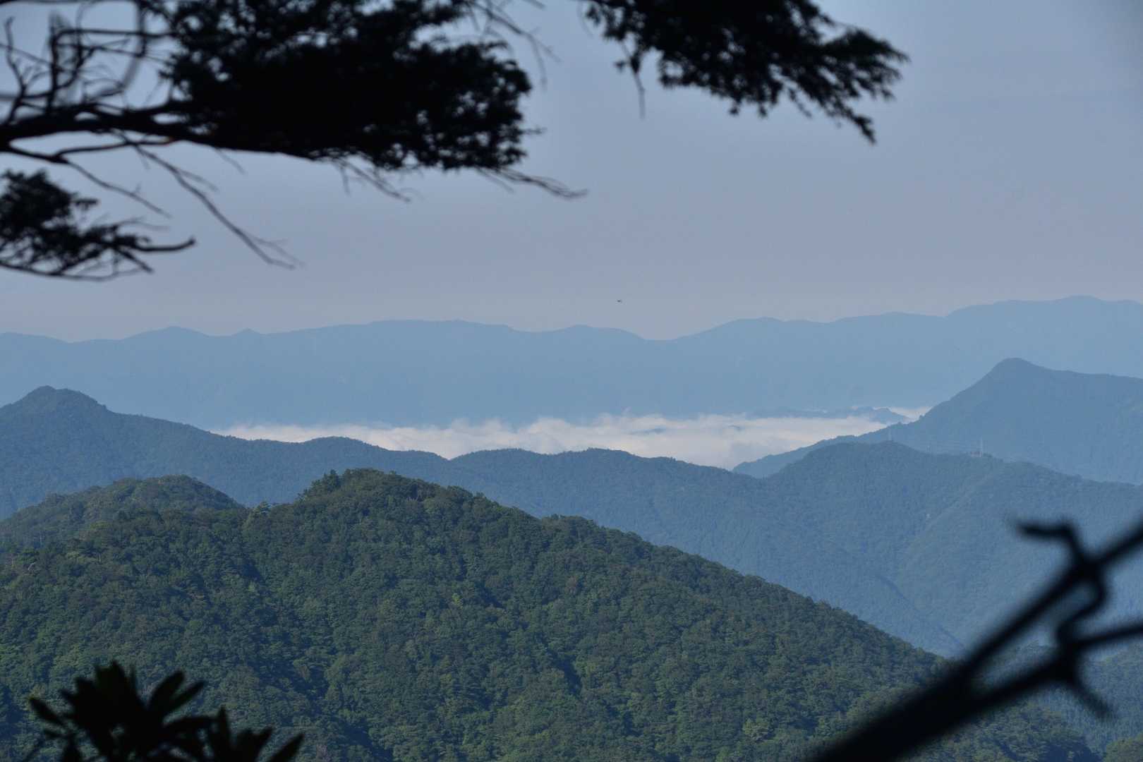 いつもの場所に雲海☁️
　いったいどこの地区なのだろうか🙄