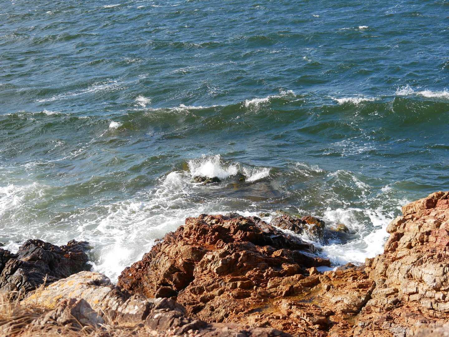 降りる道があったので、降りてみた！
浜名湖間近、波が〜😳